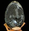 Septarian Dragon Egg Geode - Black Crystals #71997-2